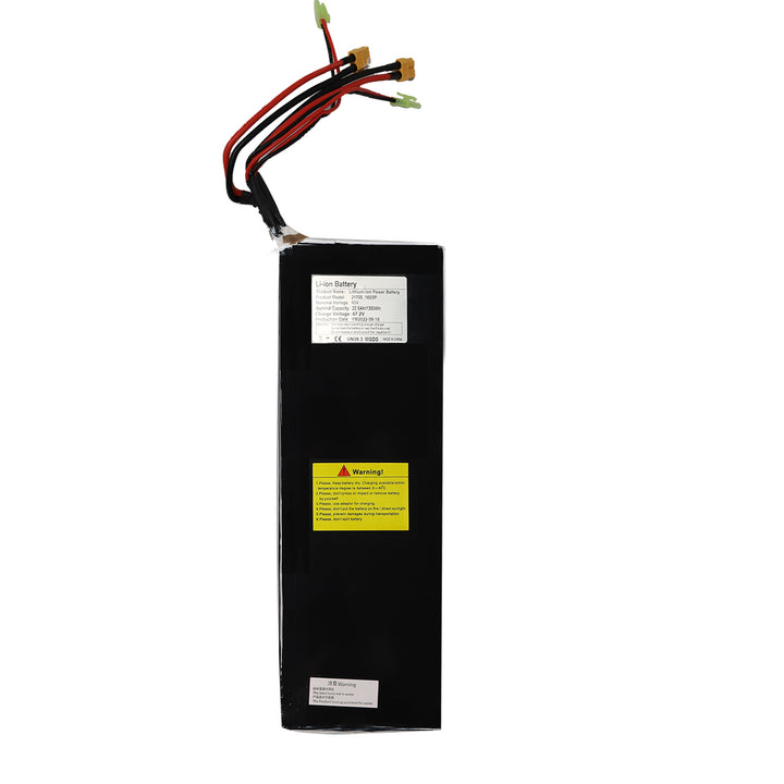 Standardbatterie 60 V 22,5 Ah <tc>Hawk</tc>&M10/Samsung Batterie 60V 25AH <tc>Hawk</tc>