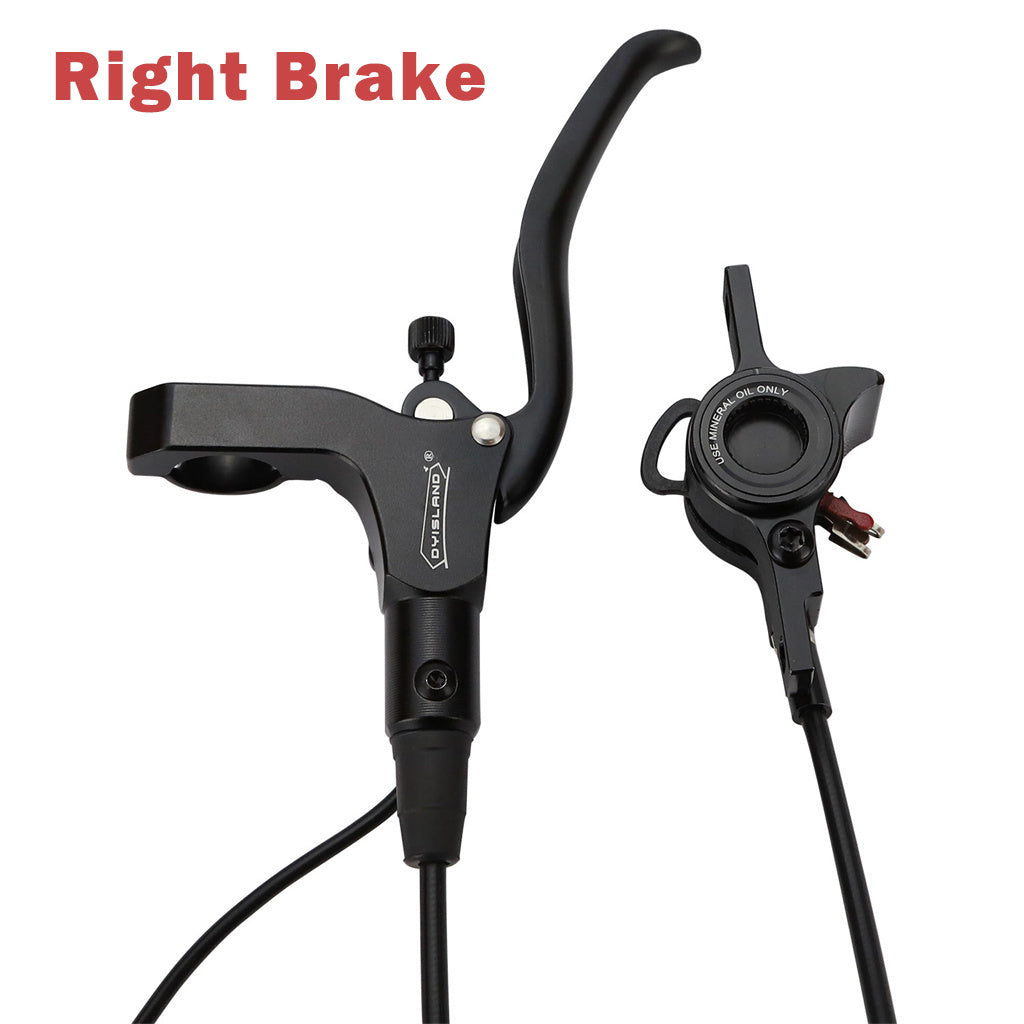 Ölbremsgriffe+Bremssättel y 10